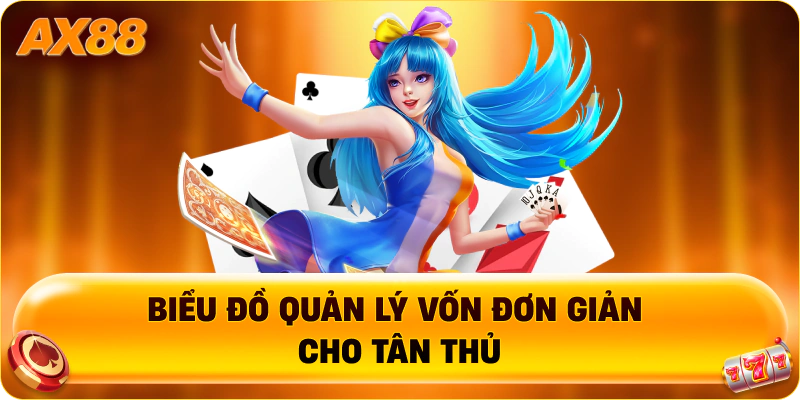 Biểu đồ quản lý vốn đơn giản cho tân thủ