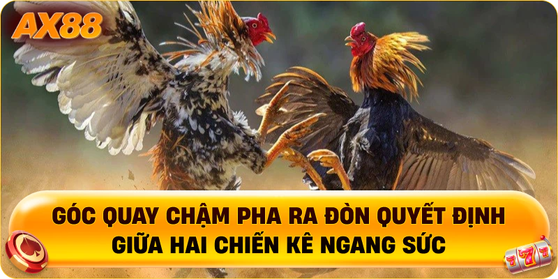 Góc quay chậm pha ra đòn quyết định giữa hai chiến kê ngang sức