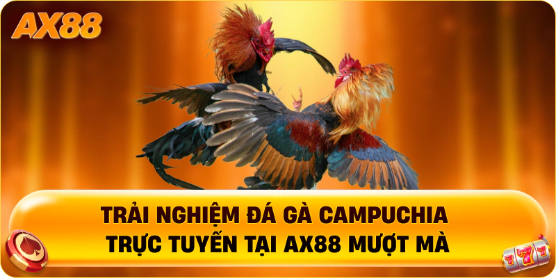 Trải nghiệm Đá Gà Campuchia trực tuyến tại AX88 mượt mà
